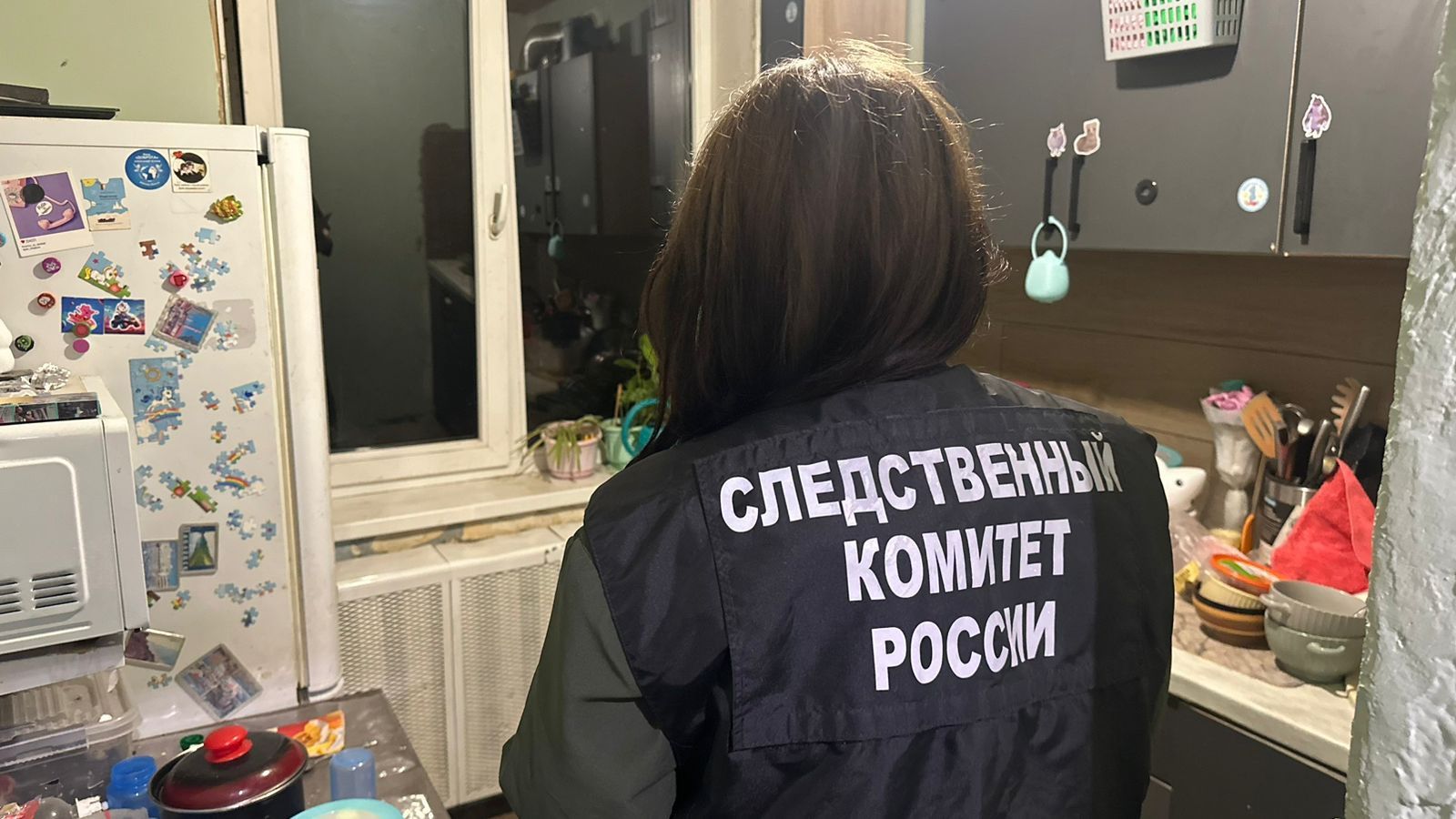 В Воронеже произошел шокирующий случай, который потряс местное сообщество. Следственные органы Следственного комитета Российской Федерации по Воронежской области предъявили 23-летней жительнице города обвинение в умышленном причинении тяжкого вреда здоровью её годовалого сына. Это преступление, предусмотренное пунктом «б» части 2 статьи 111 Уголовного кодекса Российской Федерации, вызвало широкий общественный резонанс и множество вопросов о состоянии семейных отношений в России.
