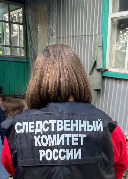 Следственный комитет Воронежской области завершил предварительное расследование резонансного убийства, произошедшего 20 сентября 2025 года на хуторе Вязники Лискинского района. Жителю района предъявлено обвинение в убийстве соседа, совершенном с особой жестокостью. Дело приобрело особую общественную значимость из-за предшествующих судимостей обвиняемого и обстоятельств произошедшего.