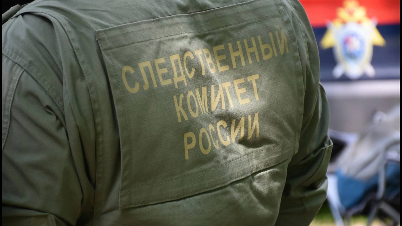 Следственный комитет РФ по Воронежской области предъявил жителю Рамонского района обвинение по ч. 1 ст. 105 УК РФ (убийство). Суд, рассмотрев ходатайство следствия, заключил обвиняемого под стражу. Известно, что мужчина имеет судимости, в том числе за преступления против собственности.