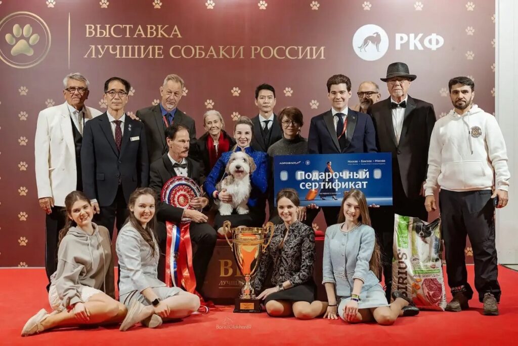 В Воронеже пройдёт масштабная выставка «Лучшие собаки России / РКФ. Шоу чемпионов».